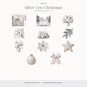 Silver Leo Christmas overview 5/5